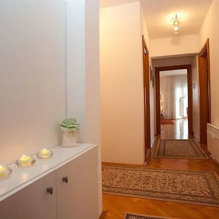 Branka Apartment *